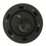 Beale Street P4BB Pancake speaker - front view