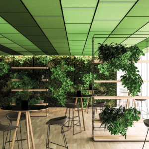 Garvan Quadra Panels - showing some Quadra false ceiling panels fixed on to the ceiling of a cafe.